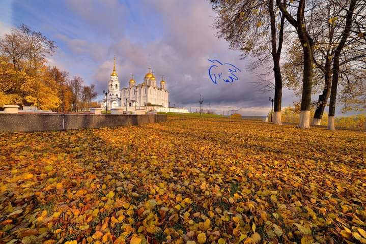 Конференция вальдорфских родителей и педагогов, Владимир