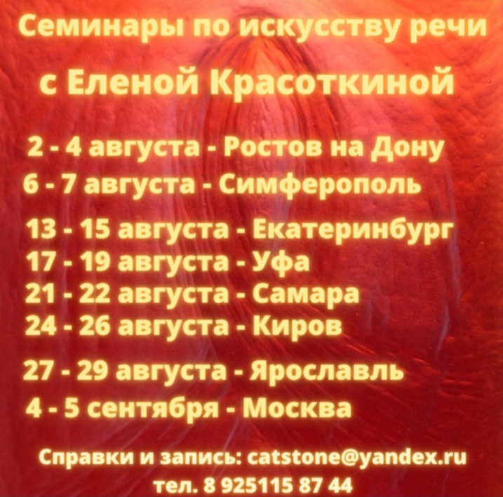 Семинар Елены Красоткиной "Искусство речи в школе", Самара